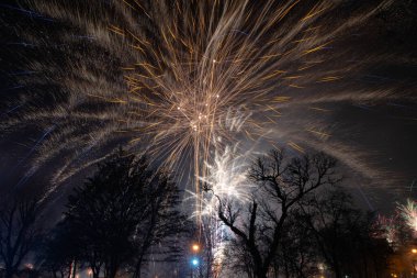 New Year Fireworks in Pruszcz Gdanski