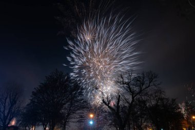 New Year Fireworks in Pruszcz Gdanski