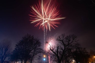 New Year Fireworks in Pruszcz Gdanski