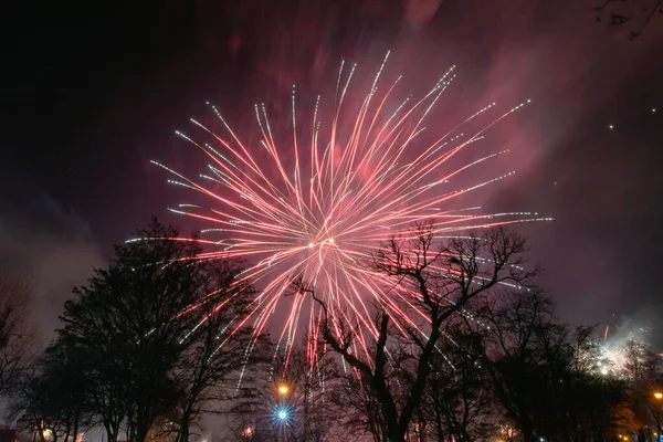 New Year Fireworks Pruszcz Gdanski — Zdjęcie stockowe