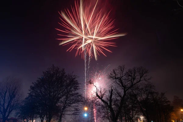 New Year Fireworks Pruszcz Gdanski — стокове фото