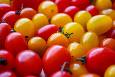 Olgunlaşmış kırmızı organik domates arka planı