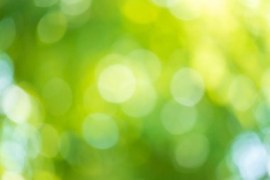 Soyut bulanık yeşil yaprak bokeh doğa arkaplanı