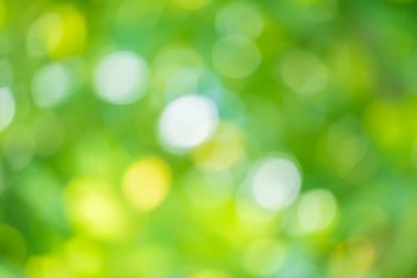 Soyut bulanık yeşil yaprak bokeh doğa arkaplanı