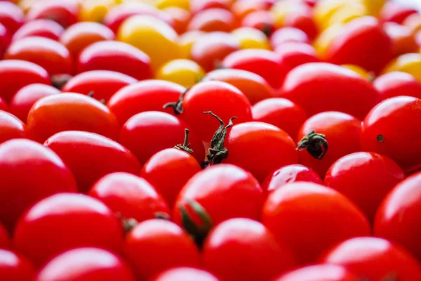 Vermelho Maduro Fundo Tomate Orgânico — Fotografia de Stock