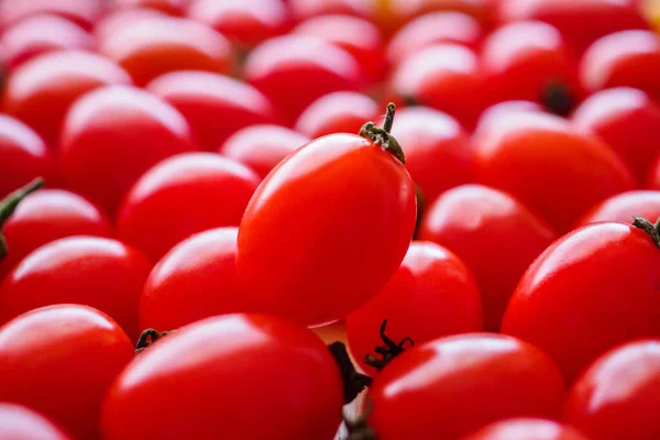 Vermelho Maduro Fundo Tomate Orgânico — Fotografia de Stock