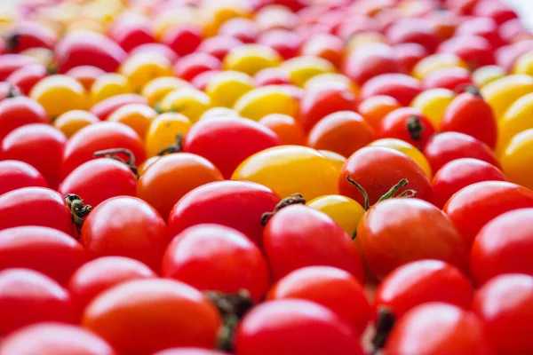 Vermelho Maduro Fundo Tomate Orgânico — Fotografia de Stock