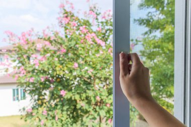 Ev penceresinde el ele tutuşan sivrisinek ağı tel ekran sapı