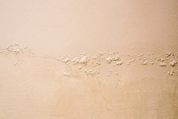 Brown wall damp damaged with peeling paint