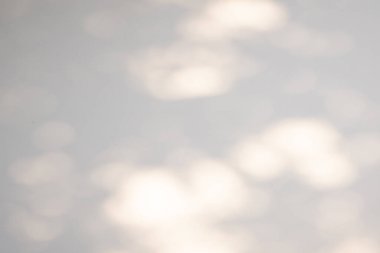 Soyut doğal ağaç beyaz duvar arkaplanında gölge bırakır