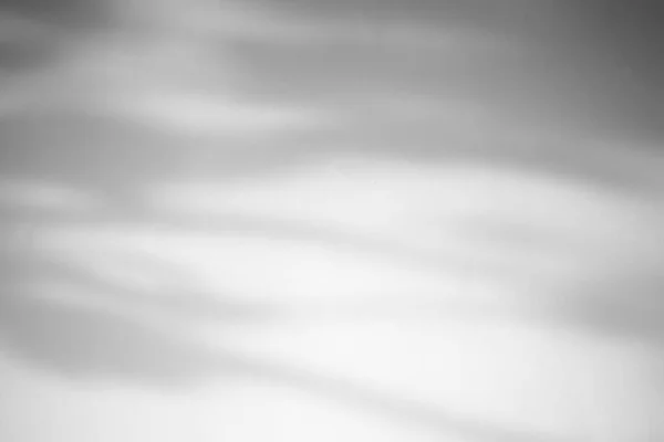 Αφήνει Σκιά Φόντο Τσιμεντένιου Τοίχου — Φωτογραφία Αρχείου