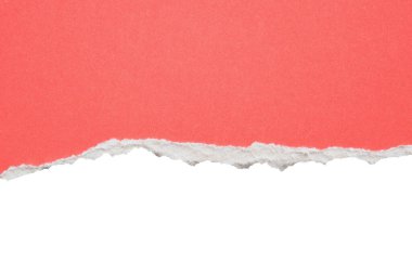 pink ripped paper torn edges strips isolated on white background