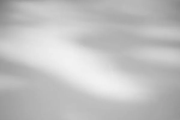 Тінь Листя Фоні Бетонної Стіни — стокове фото