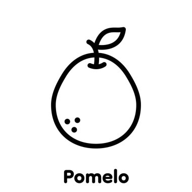 Pomelo meyve doğrusal simgesi, Vektör, İllüstrasyon.