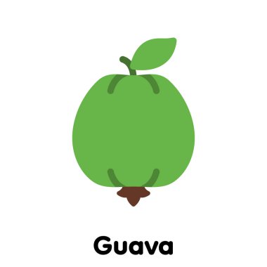 Guava meyve simgesi, Vektör, Görüntü .