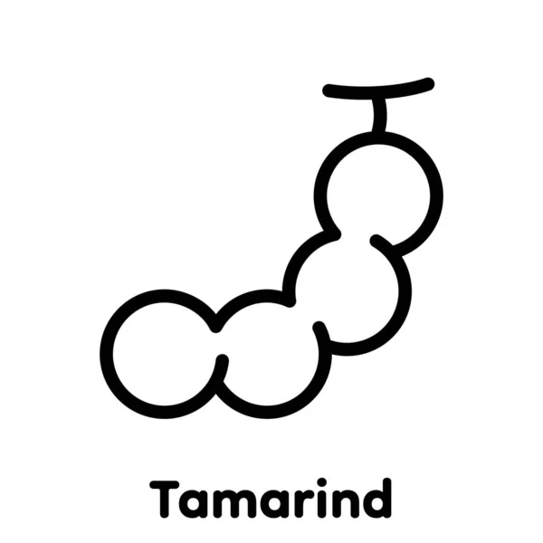 Tamarind Lineáris Ikon Vektor Illusztráció — Stock Vector