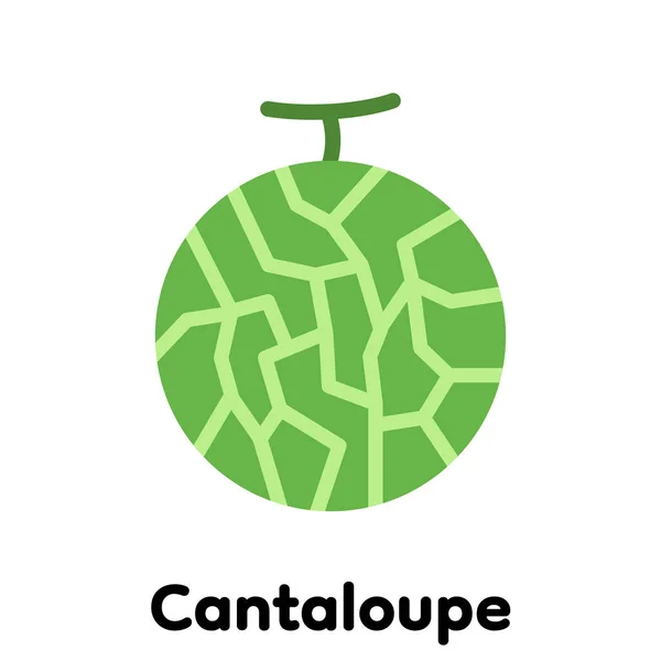 Icône Cantaloup Vecteur Illustration — Image vectorielle