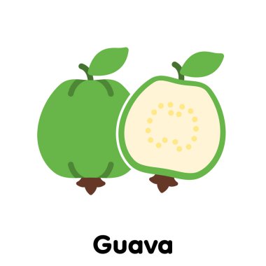 Guava meyve simgesi, Vektör, Görüntü.