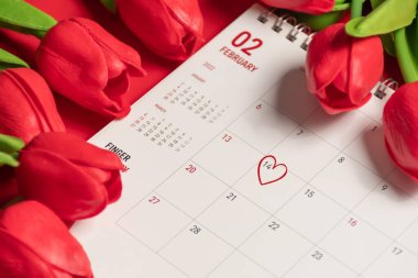 14 Şubat 'taki kırmızı lale çiçekli işaretli kalp 14 Şubat 2022' deki Sevgililer Günü konsepti. Yakın plan, Seçici odak, bulanık arkaplan