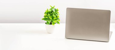 Dizüstü bilgisayarın arkası boş, ofisteki beyaz bir masaya yerleştirilmiş ve kimse yok. Teknoloji iş konsepti, akıllı telefon, not defteri, internet, sol taraf fotokopi alanı, yakın plan, beyaz arkaplan ve bulanık