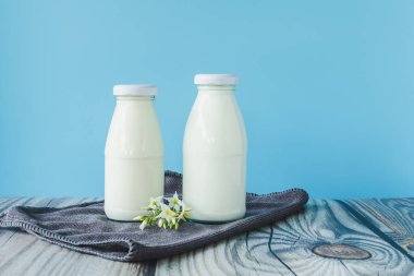beverage liquid milk white fresh natural two glass bottles on table drink to healthy has protein and calcium for child or toddler, nobody, closeup, blue background and copy space on left for content