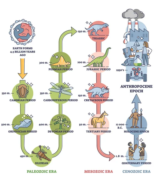 Das Anthropozän als menschliches Zeitalter im globalen geologischen Zeitachsendiagramm — Stockvektor