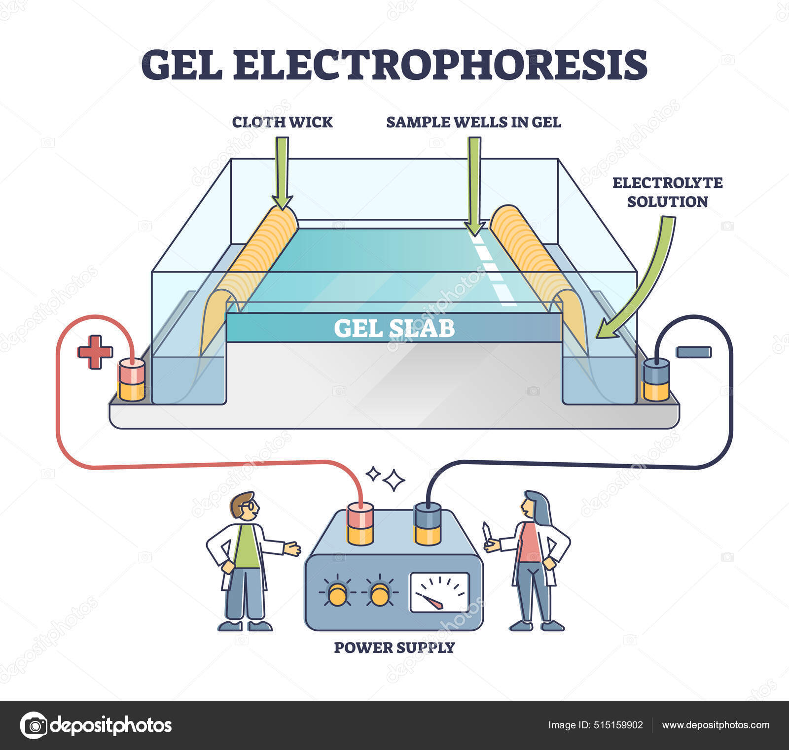 Gel electrophoresis method for separating mixtures, illustrated diagram