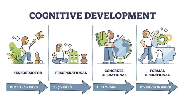 Stades de progression du développement cognitif par âge, diagramme vectoriel — Image vectorielle