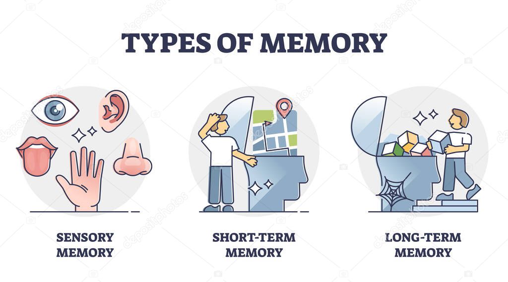 Types of memory - sensory, short-term and long-term, vector outline diagram