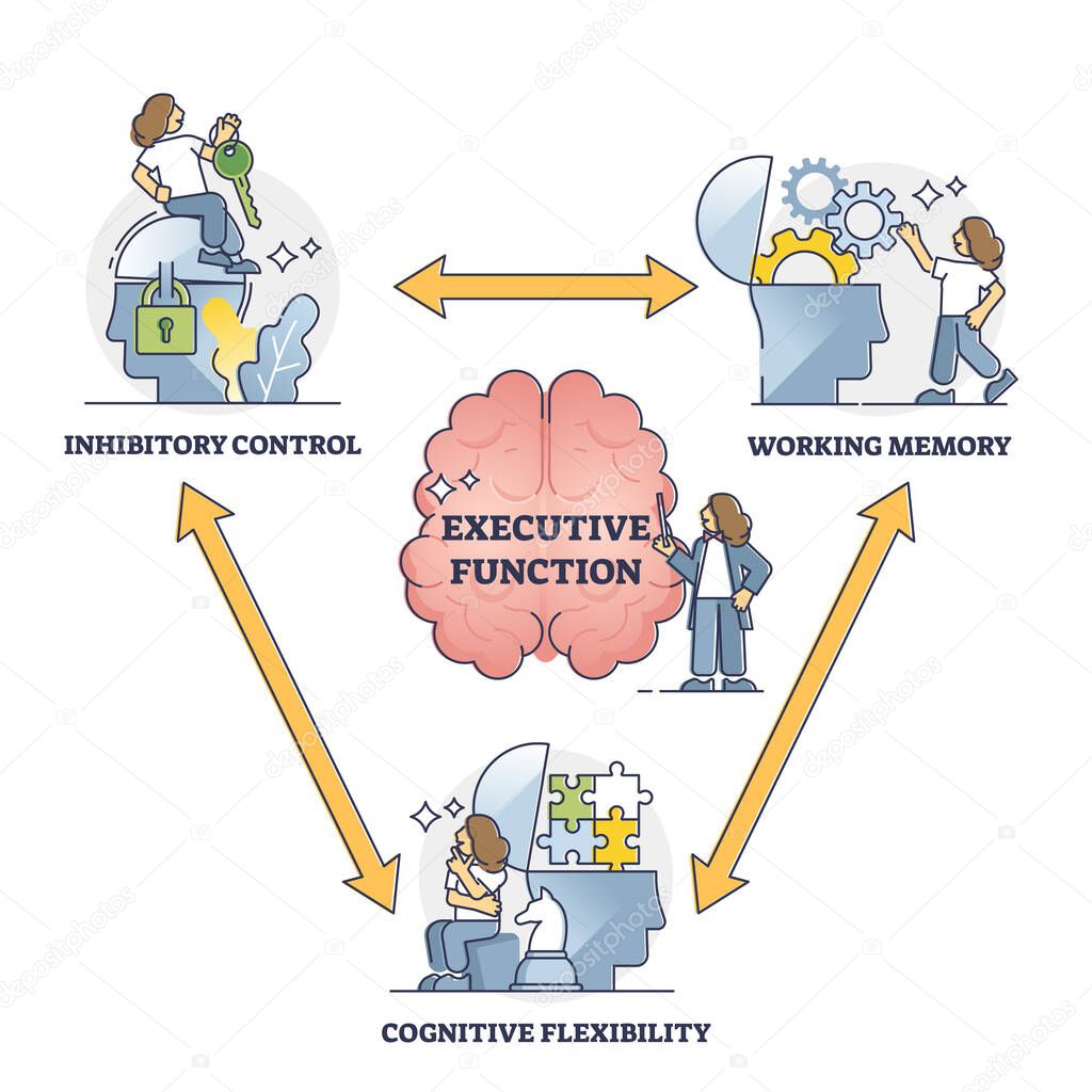 Executive function or cognitive control, vector illustration outline diagram