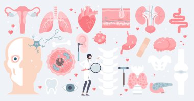 İnsan anatomisi ve izole edilmiş tıbbi organlar küçük insan koleksiyonu setinde.