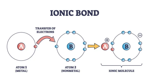 Enlace iónico y atracción electrostática del diagrama del contorno de unión química — Archivo Imágenes Vectoriales