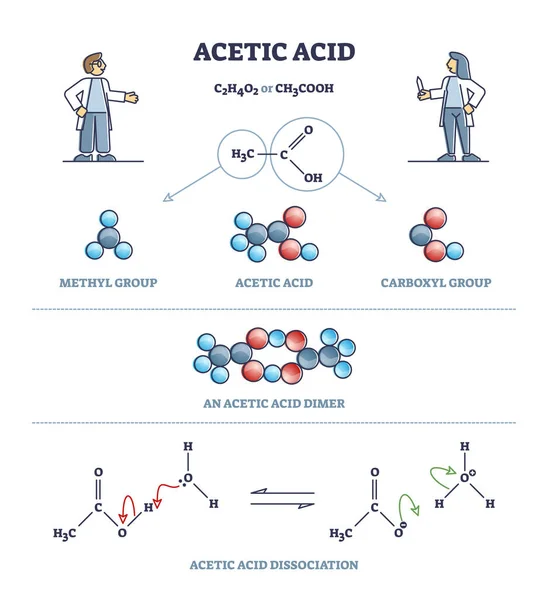 Acetic acid formula or vinegar substance chemical description outline diagram — Stock Vector