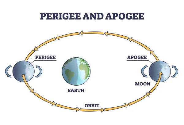Ciclo perigeu e apogeu da lua ou órbita explicada em torno do diagrama de contorno da terra — Vetor de Stock