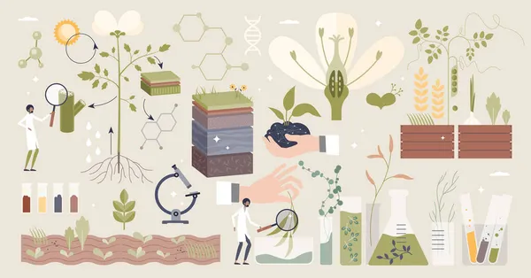 Biología vegetal con investigación científica orgánica diminuta colección de personas conjunto — Archivo Imágenes Vectoriales