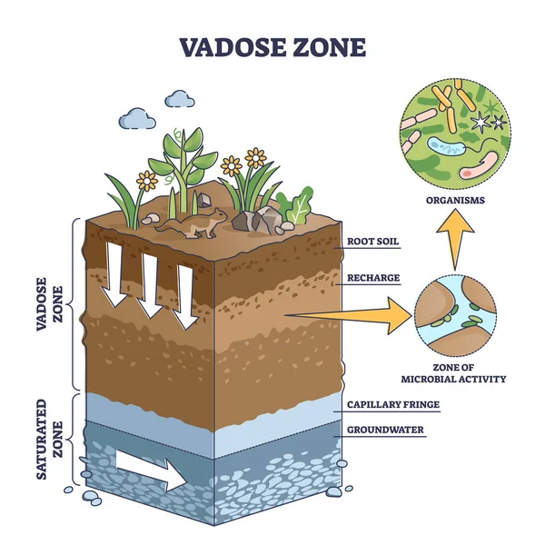 Vadózní nebo nenasycená zóna jako geologický obrys dělení zeminy — Stockový vektor