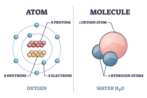 Différences structurales atome vs molécule avec diagramme de contour oxygène et eau — Image vectorielle