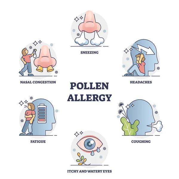 Recolección de síntomas de alergia al polen en moldes y esporas diagrama de contorno — Archivo Imágenes Vectoriales