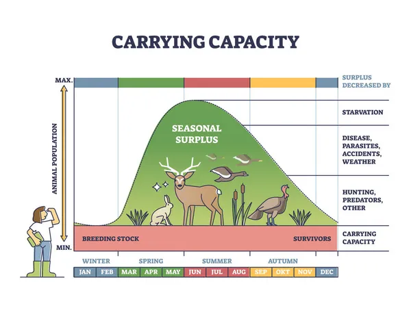 Capacidade de transporte como nível de reprodução com diagrama do excedente sazonal —  Vetores de Stock