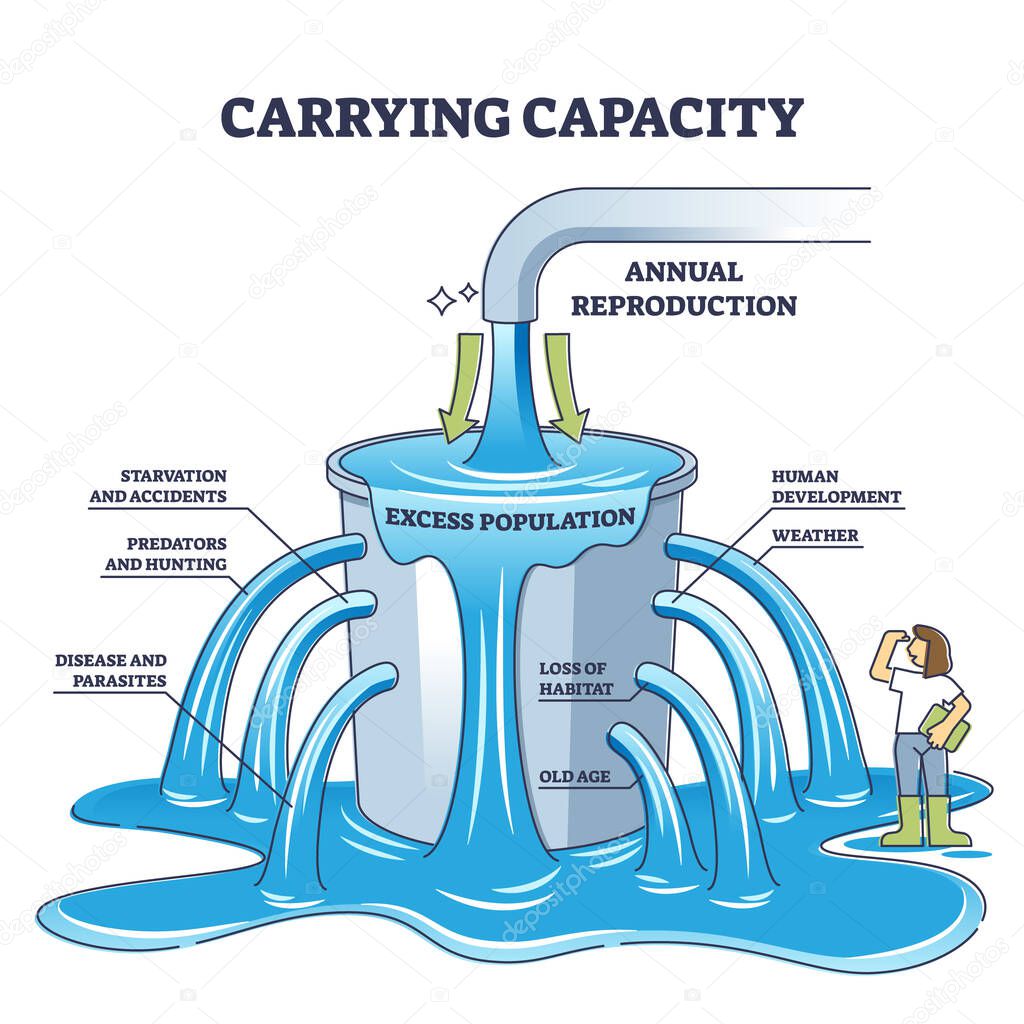 Carrying capacity as maximum population size for population outline diagram