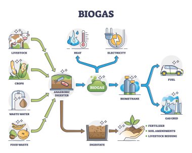 Biogas or bio gas division for energy consumption and sources outline diagram clipart