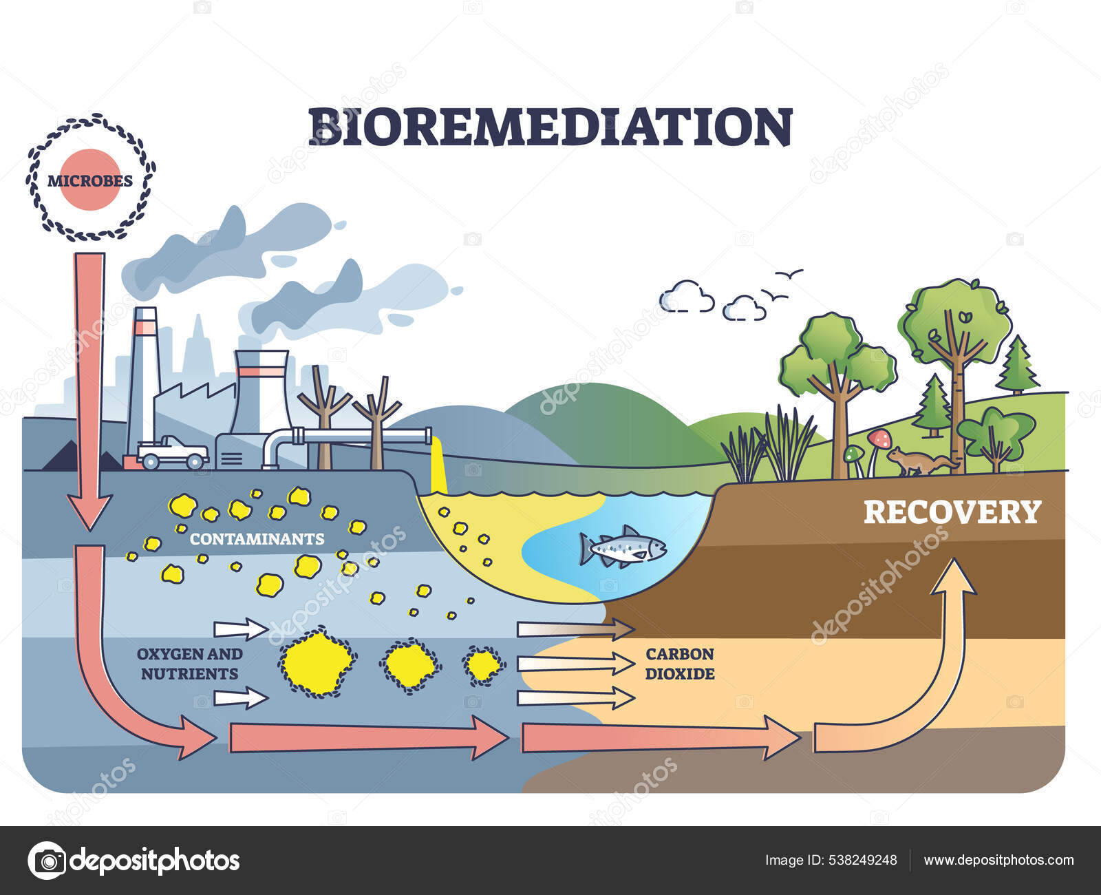 Biorremediación y diagrama del contorno del suelo o de la recuperación ...