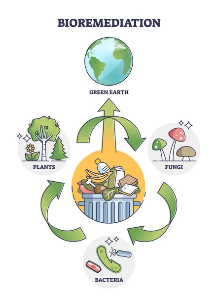 Processo de biorremediação como uso de bactérias para diagrama de contorno de terra verde — Vetor de Stock