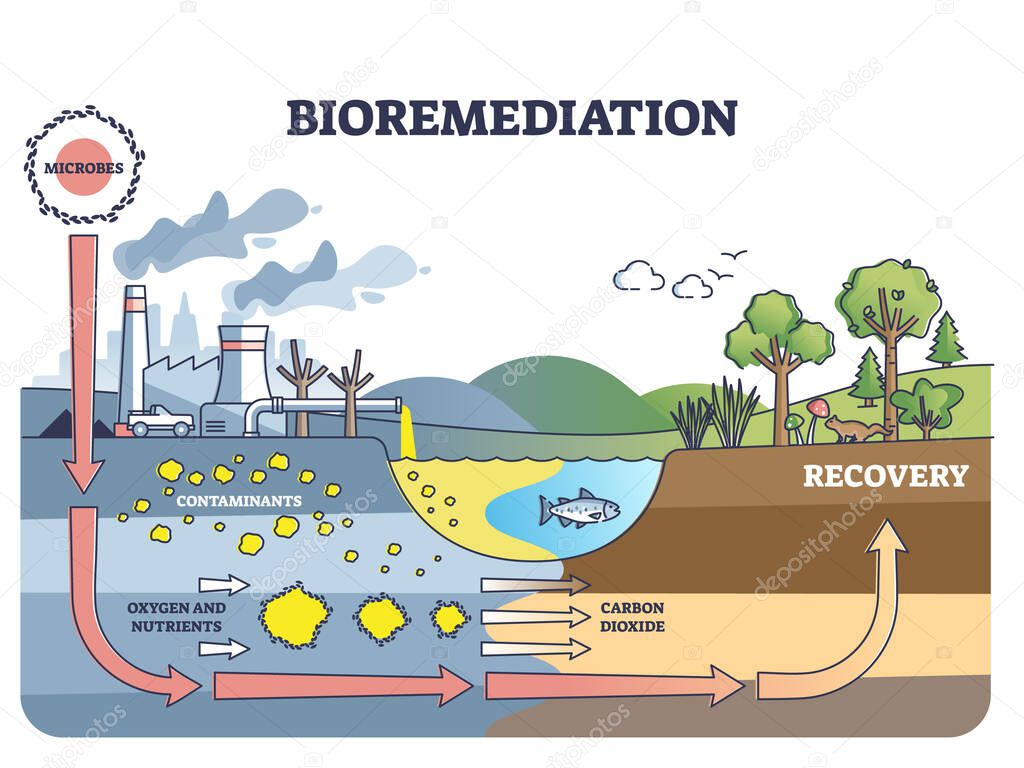 Bioremediation and contaminated soil or water recovery outline diagram