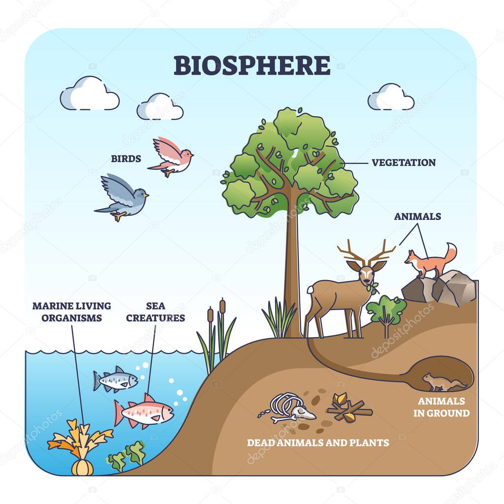 Biosphere and natural habitat division for living creatures outline diagram
