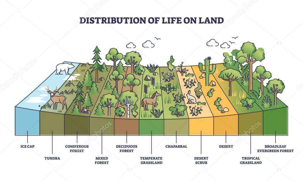 Distribution of life on land with geographical climate zones outline diagram