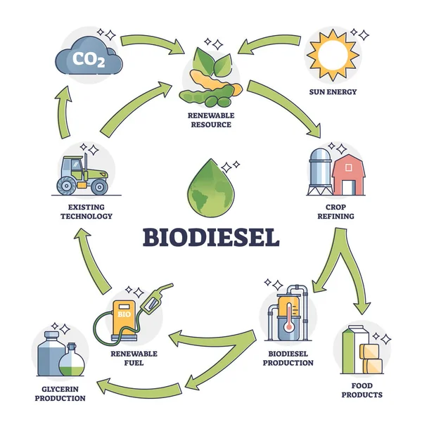 Explicación del ciclo de vida del combustible de biodiesel con todos los diagramas de esquema de etapas de uso — Vector de stock