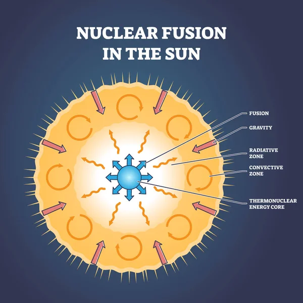 Synteza jądrowa w strukturze Słońca i Gwiazdy z zarysem stref — Wektor stockowy
