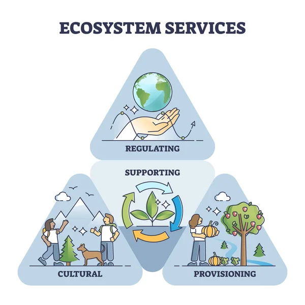 Funkcje ekosystemu jako regulacja środowiskowa i schemat pomocniczy — Wektor stockowy