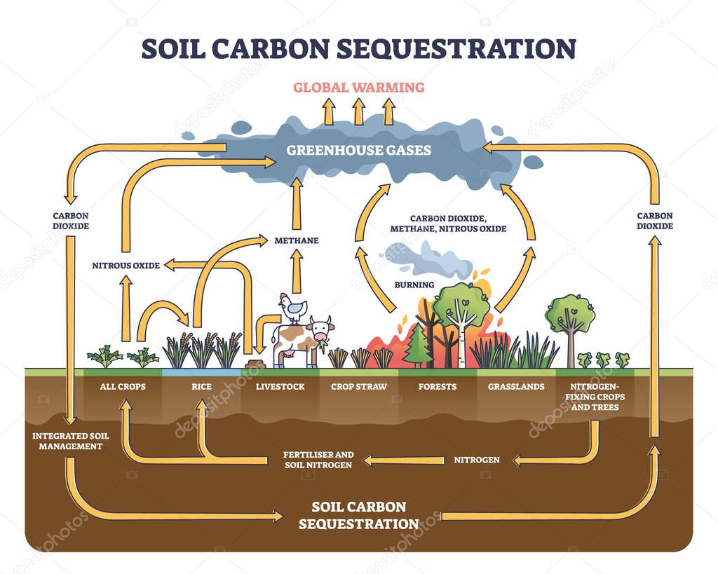 Soil carbon sequestration with greenhouse gases absorption outline diagram